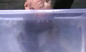 Molto felice di essere un sacco di neri adulte pelose e un sacco di big hard circondato da
