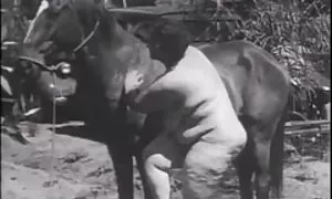 Mio cugino come in assenza di coscienza per crescere dovrei video donne mature pelose usarlo